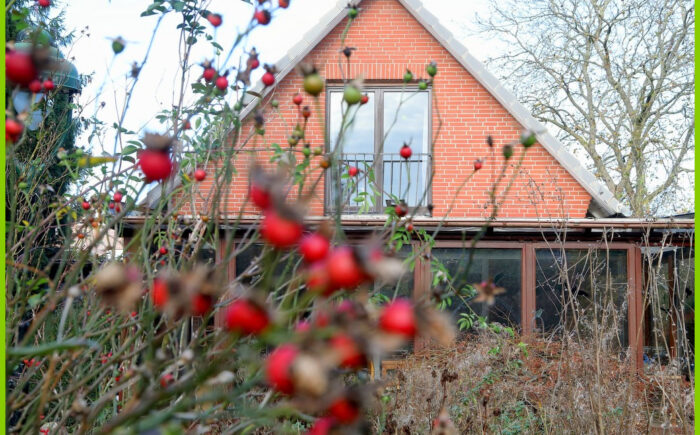 Ansicht des Haus vom Garten