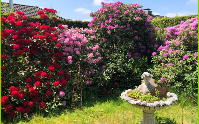 Garten 2023
