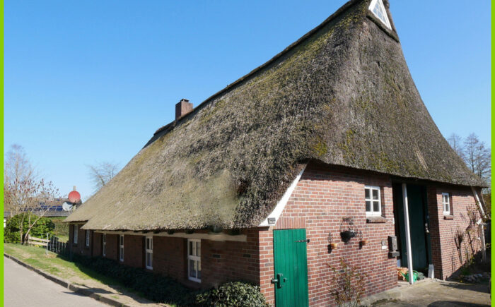Haus