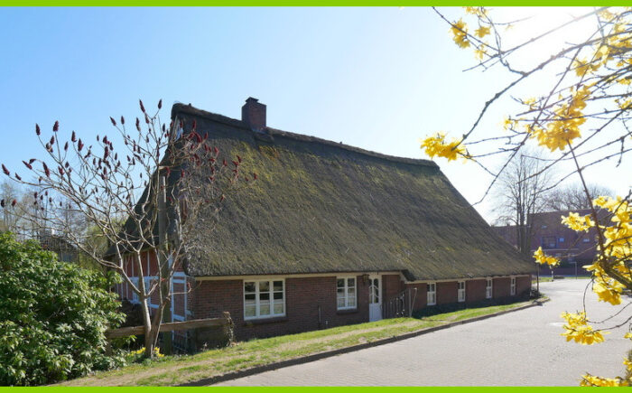 Haus