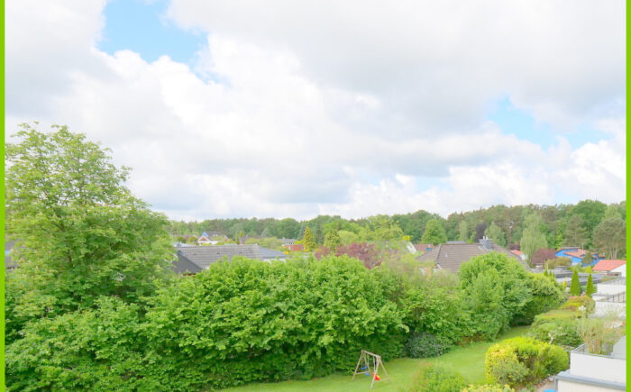 Ausblick