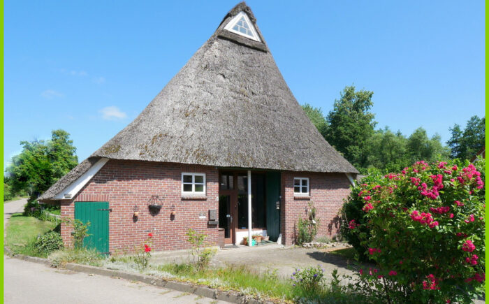 Haus