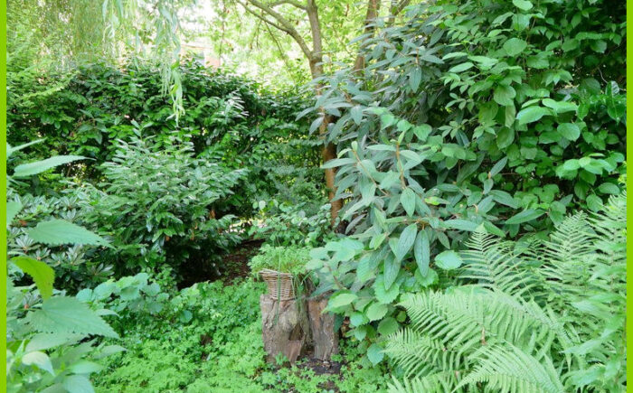Garten