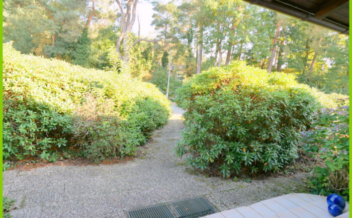 Blick von der Haustür zur Straße